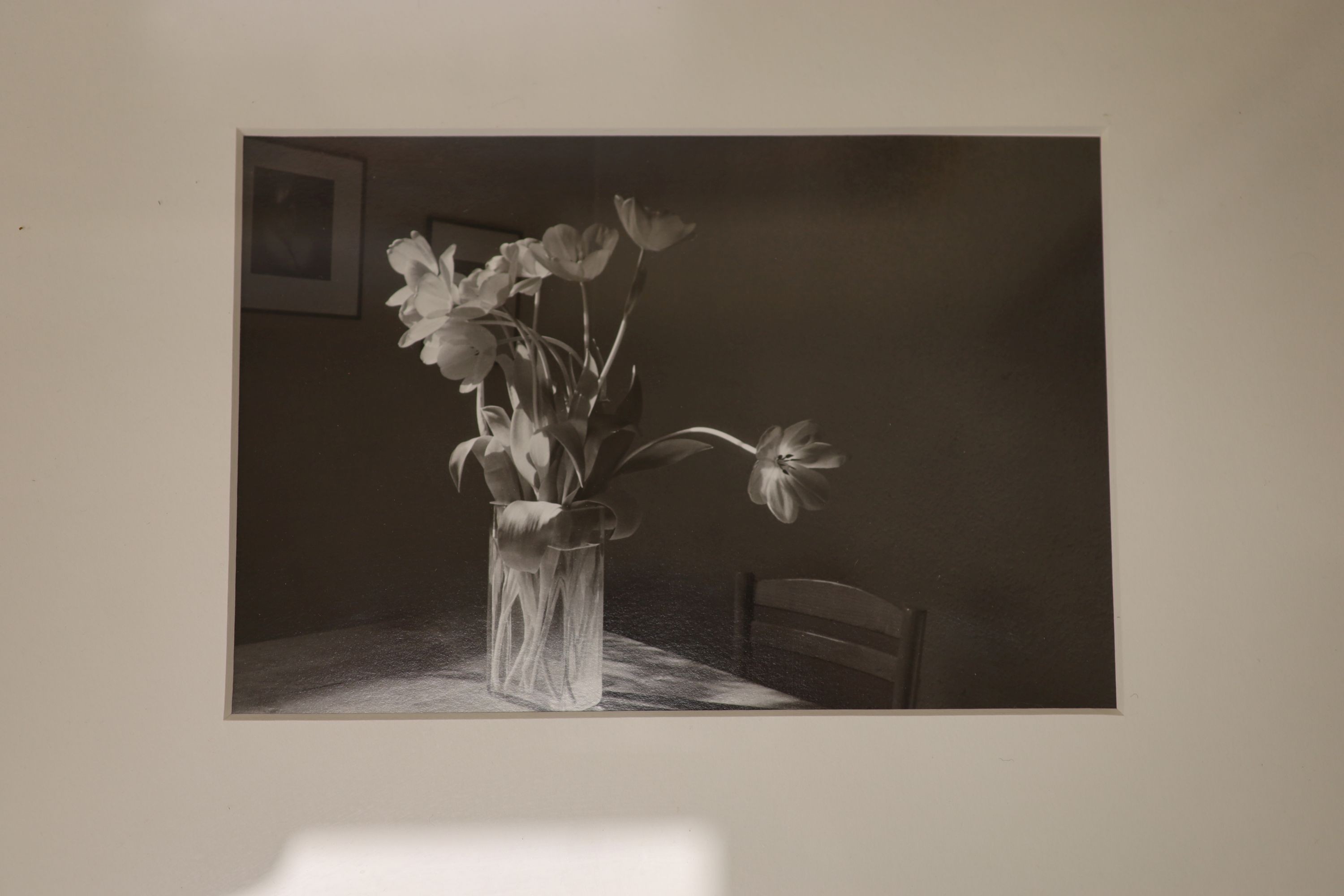 John Blakemore (1936-), eight assorted gelatin silver prints, Tulips 1988 with Zelda Cheatle Gallery label verso, 41 x 33cm; Tulip Series, 41 x 32cm; Tulip Series, two in one frame